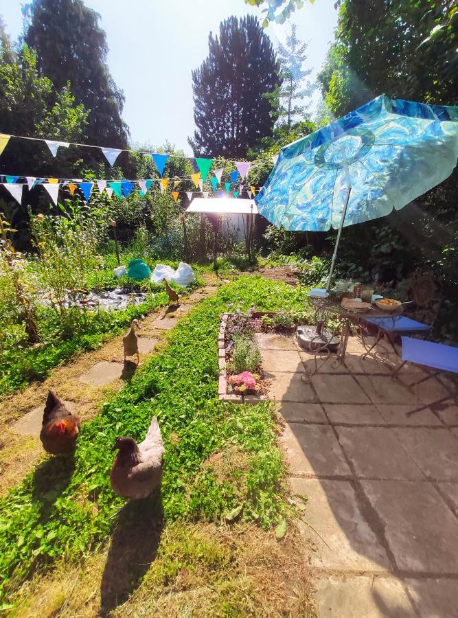 Modernes Zimmer Am Park Mit Garten, Huehner & Enten 뮌헨 외부 사진