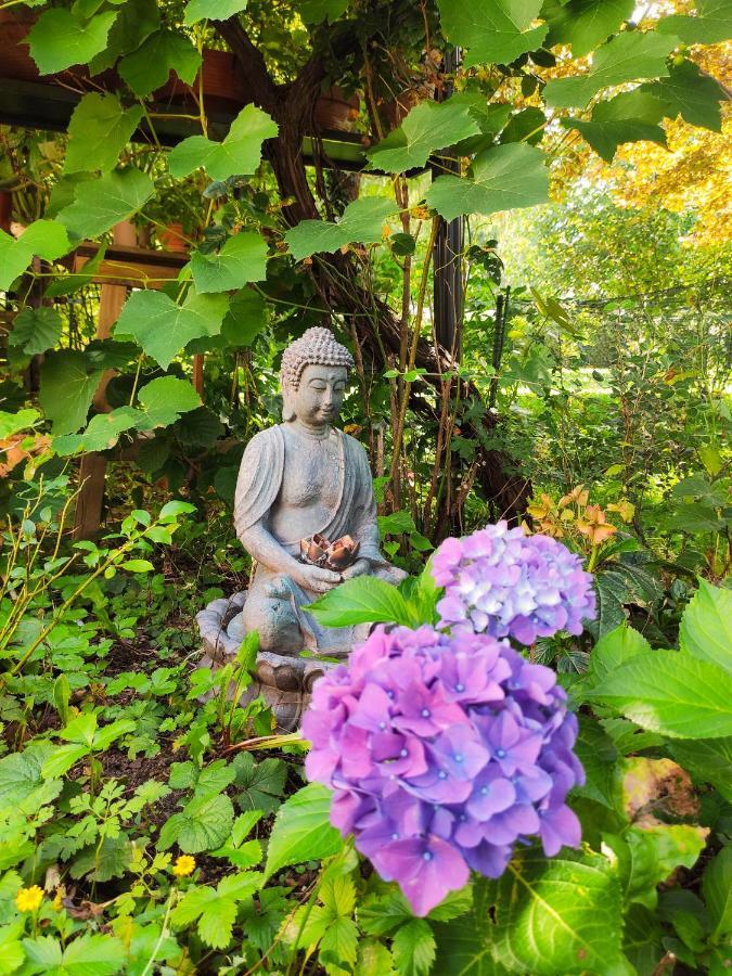 Modernes Zimmer Am Park Mit Garten, Huehner & Enten 뮌헨 외부 사진